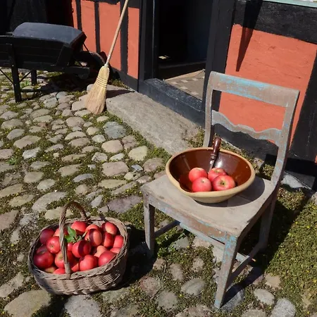 Ferienhaus Thurup Hus *